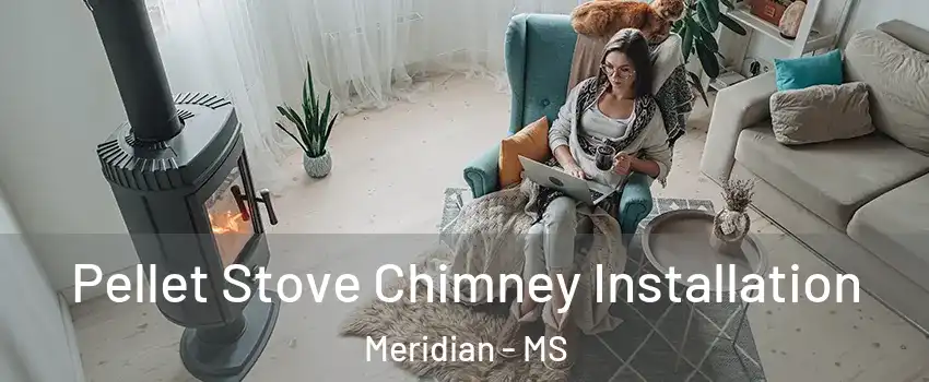  Pellet Stove Chimney Installation Meridian - MS
