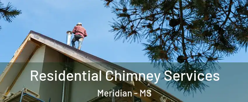  Residential Chimney Services Meridian - MS