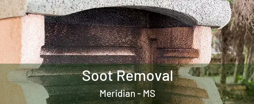  Soot Removal Meridian - MS