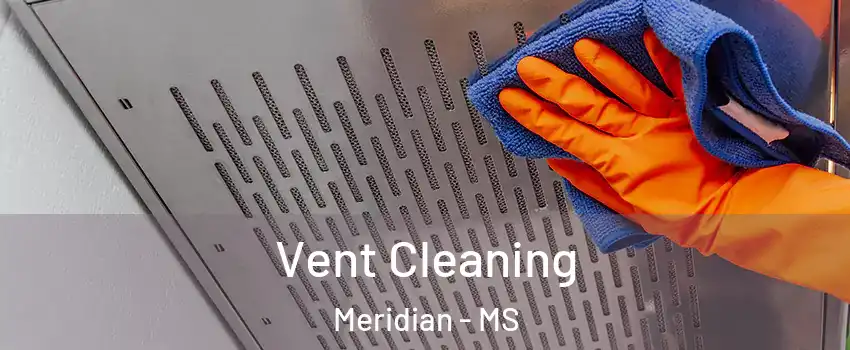  Vent Cleaning Meridian - MS