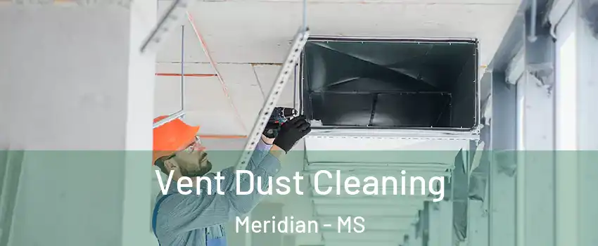  Vent Dust Cleaning Meridian - MS