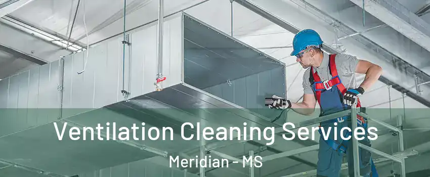  Ventilation Cleaning Services Meridian - MS