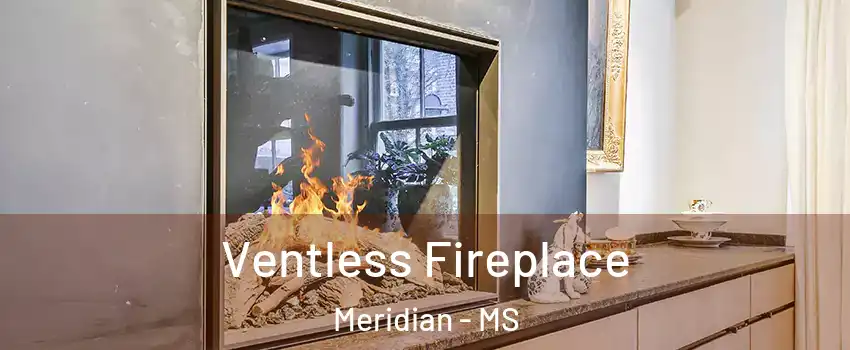  Ventless Fireplace Meridian - MS