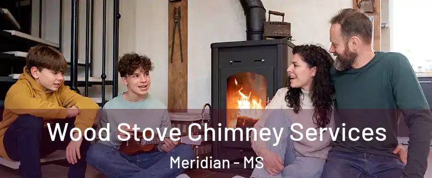  Wood Stove Chimney Services Meridian - MS