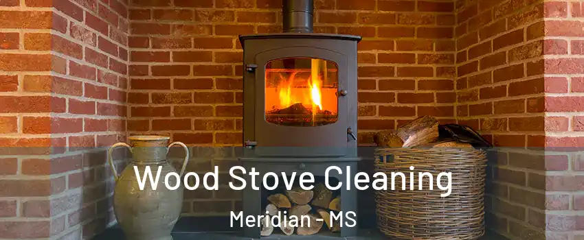  Wood Stove Cleaning Meridian - MS